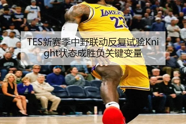 TES新赛季中野联动反复试验Knight状态成胜负关键变量