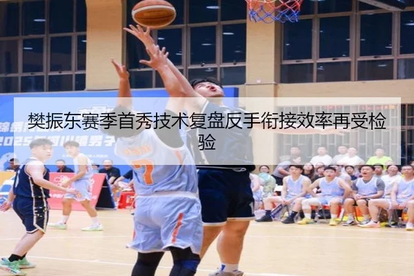 樊振东赛季首秀技术复盘反手衔接效率再受检验 - AOASPORTS